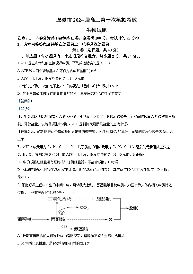 江西省鹰潭市2024届高三一模生物试卷(Word版附解析)01