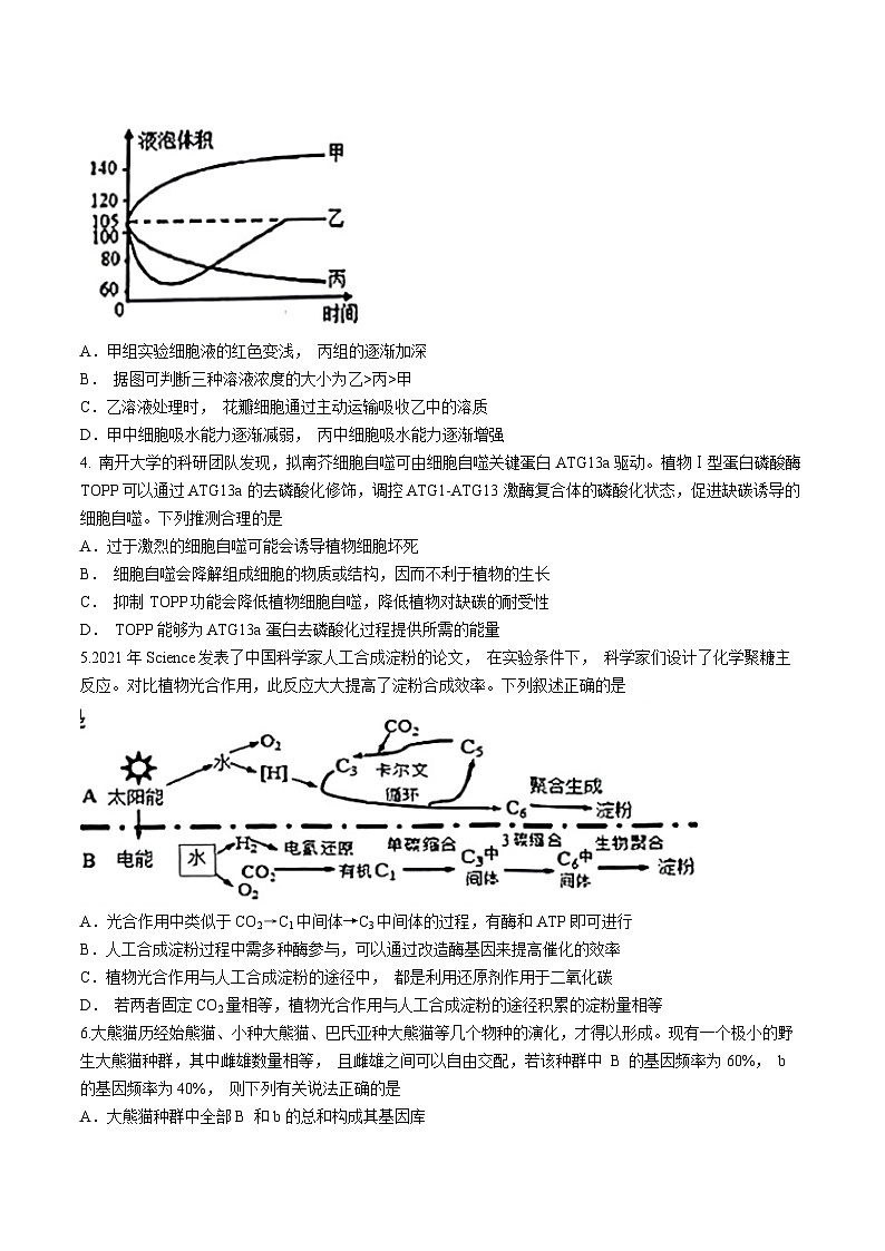 2024届吉林省高三三模考试生物试题02