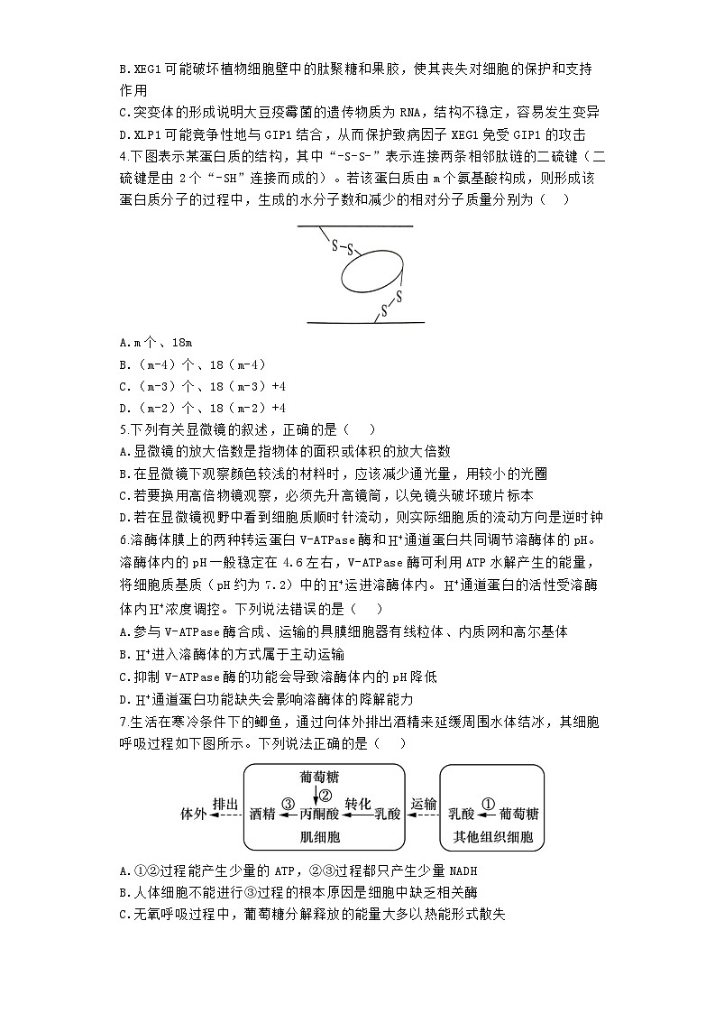 河南省郑州市宇华实验学校2023-2024学年高一下学期3月月考生物试题第2页