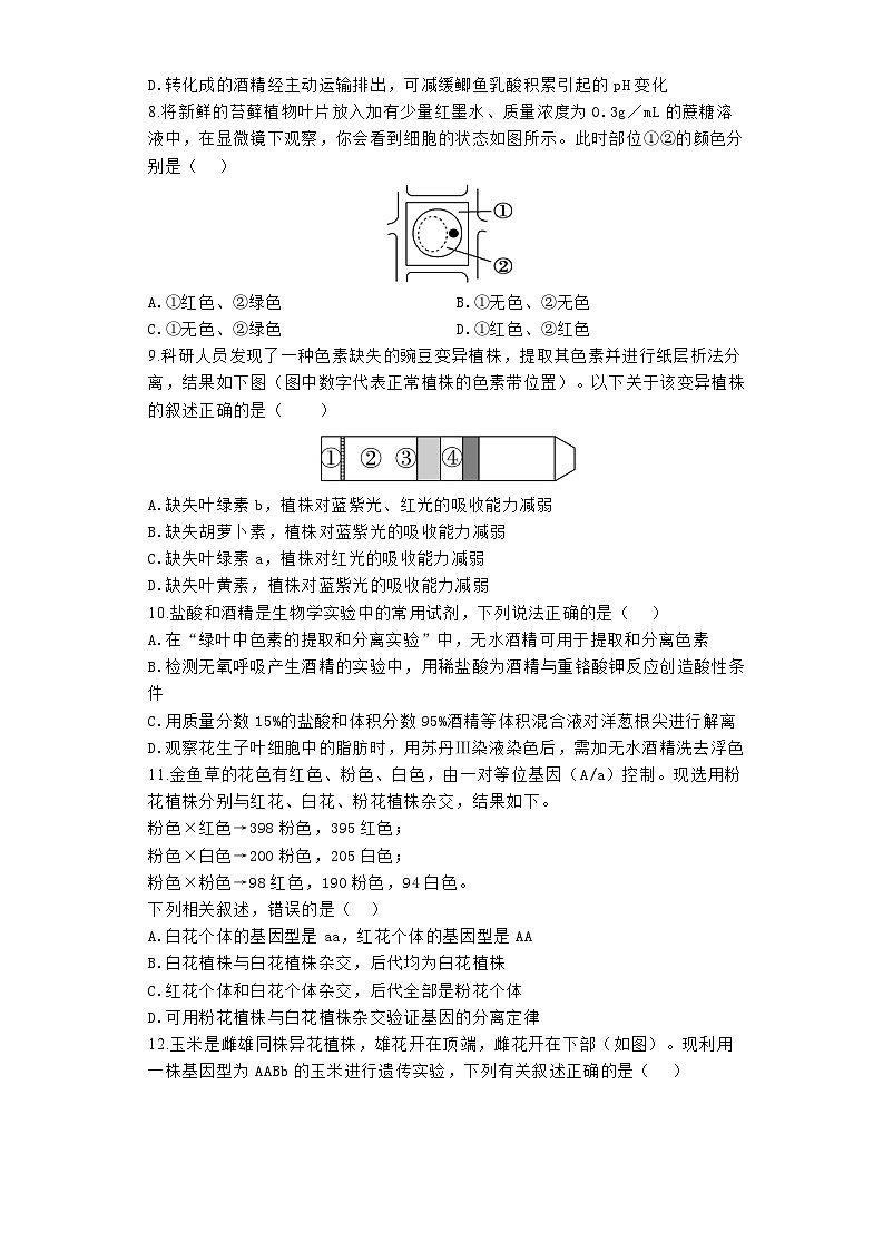河南省郑州市宇华实验学校2023-2024学年高一下学期3月月考生物试题第3页