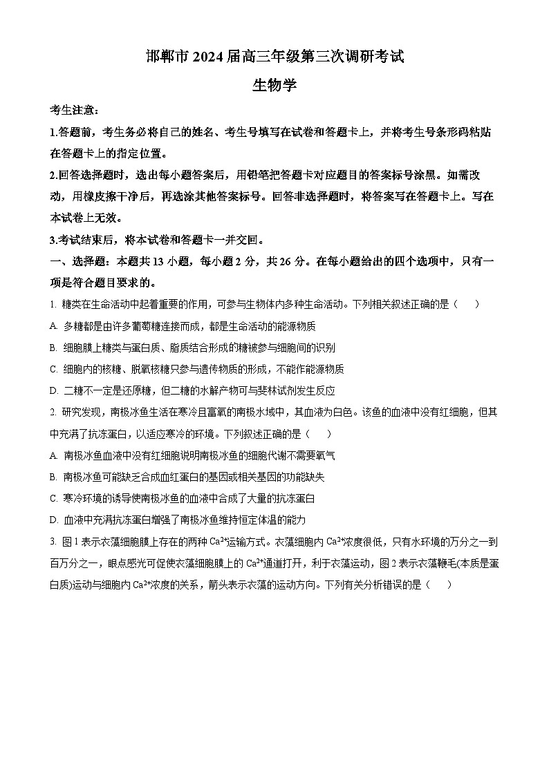 2024邯郸高三下学期第三次调研考试考试(一模)生物含解析01