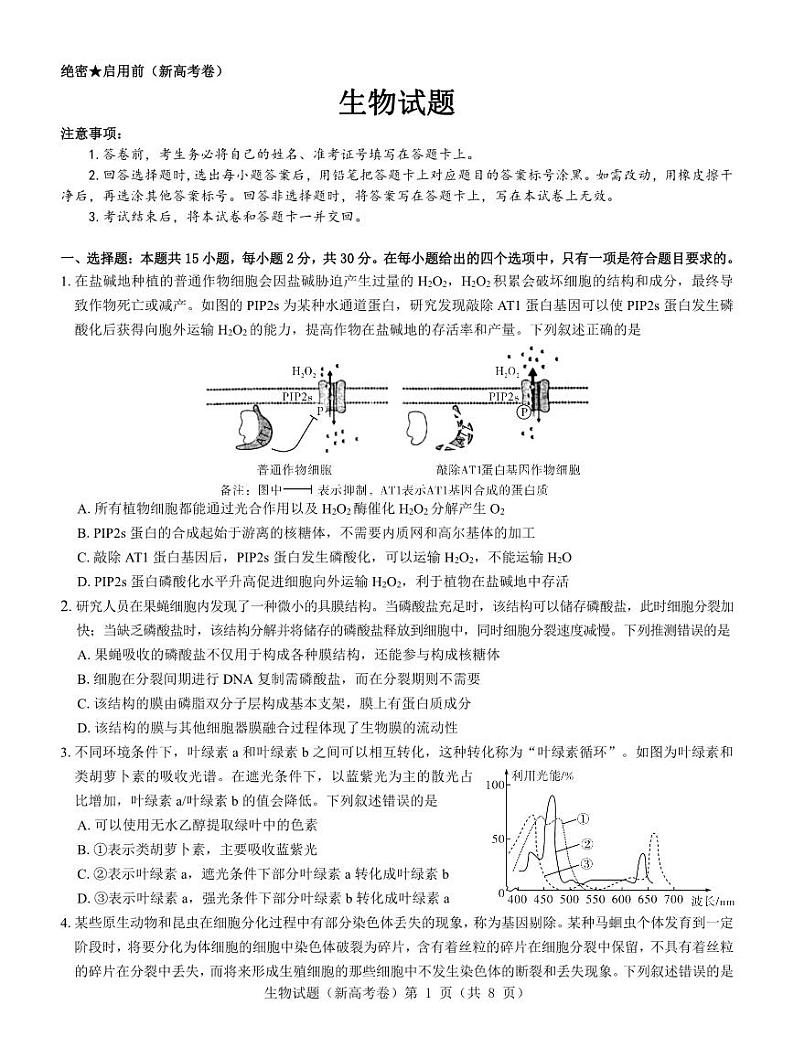 【新高考卷】名校教研联盟2024届高三3月联考 生物第1页