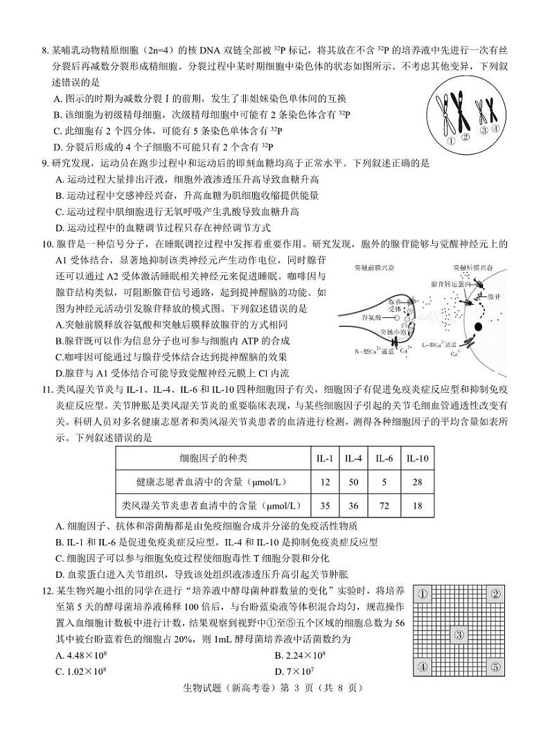 【新高考卷】名校教研联盟2024届高三3月联考 生物第3页