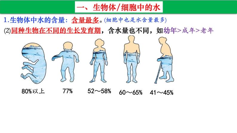 高中生物人教版必修1精品课件2-2细胞中的无机物206