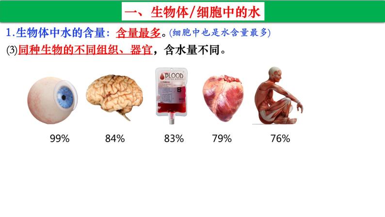 高中生物人教版必修1精品课件2-2细胞中的无机物207