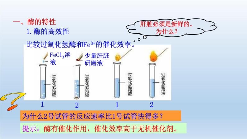 高中生物人教版必修1精品课件5-1-2酶的特性06