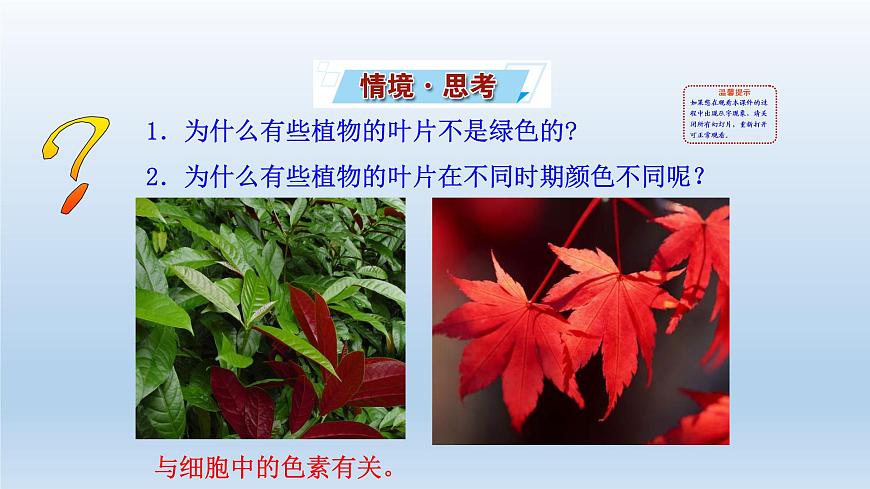 高中生物人教版必修1精品課件5-4-1捕獲光能的色素和結(jié)構(gòu)第2頁(yè)