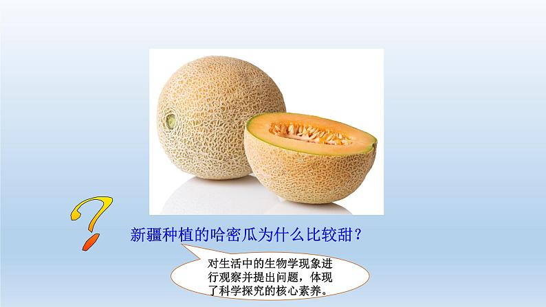 高中生物人教版必修1精品课件5-4-2光合作用的原理和应用第3页