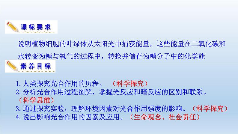 高中生物人教版必修1精品课件5-4-2光合作用的原理和应用第4页