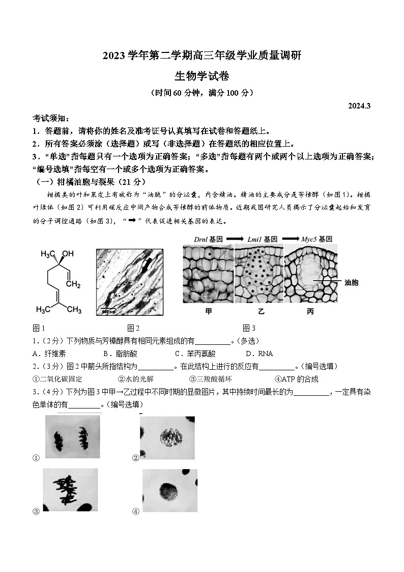 2024届上海市青浦区高三二模生物试卷第1页