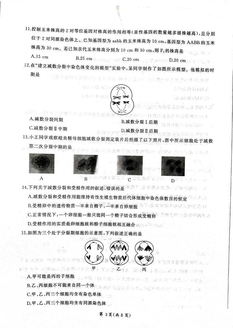 山东省大联考2023-2024学年高一下学期3月月考生物试题03
