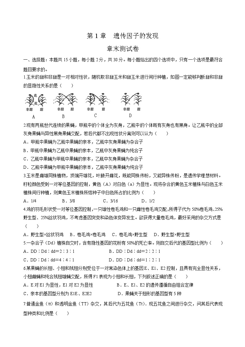 第1章 章末检测-高一生物同步精品讲义(人教版必修2)01