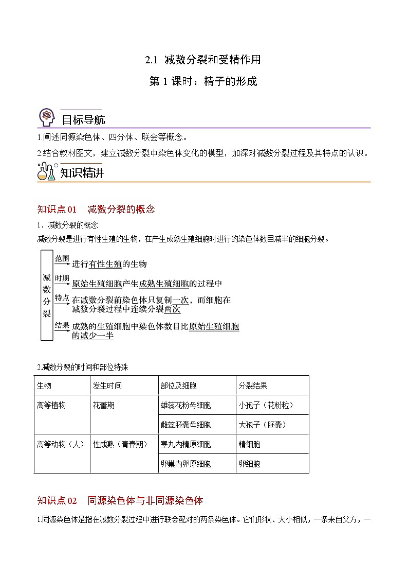 2.1 减数分裂和受精作用(第1课时)-高一生物同步精品讲义(人教必修2)01