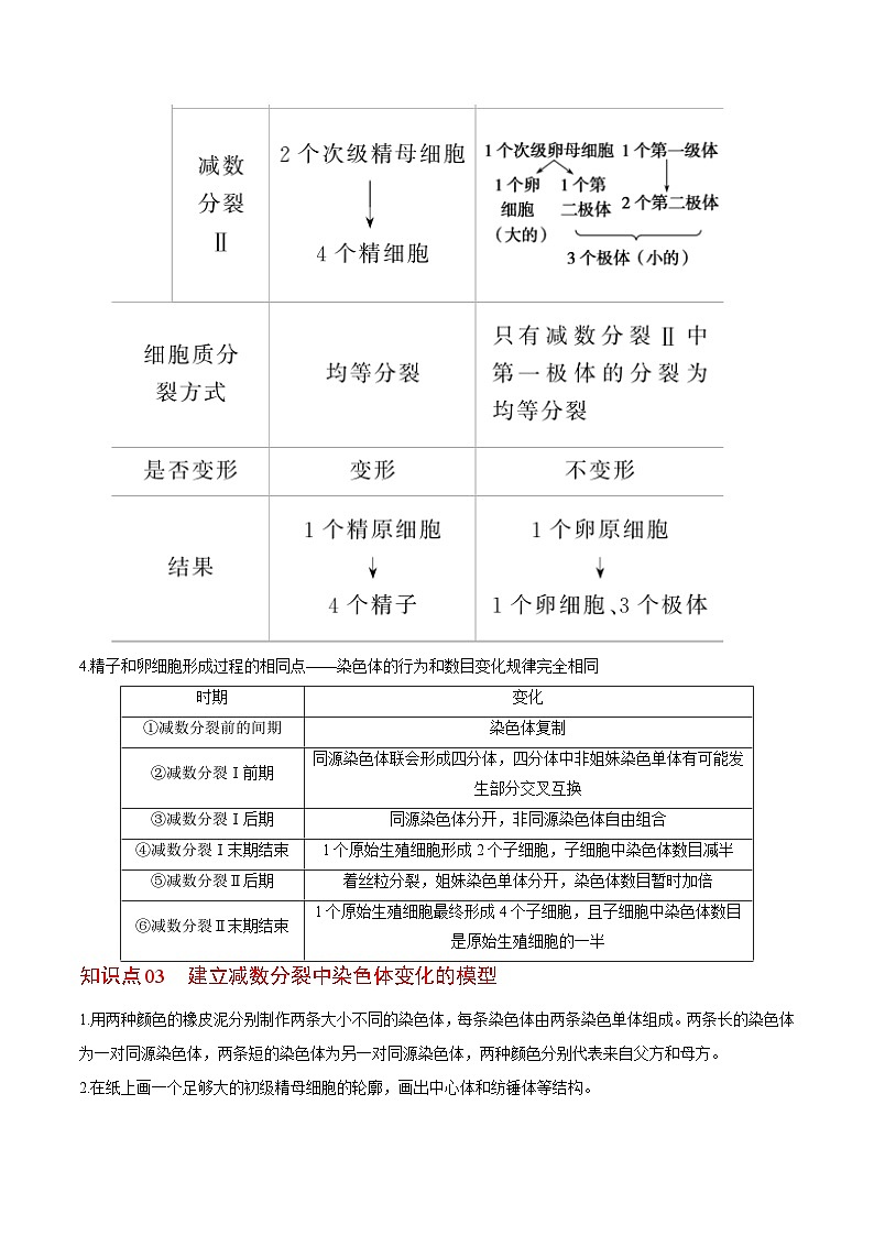 2.1 减数分裂和受精作用(第2课时)(教师版)-高一生物同步精品讲义(人教必修2)第3页