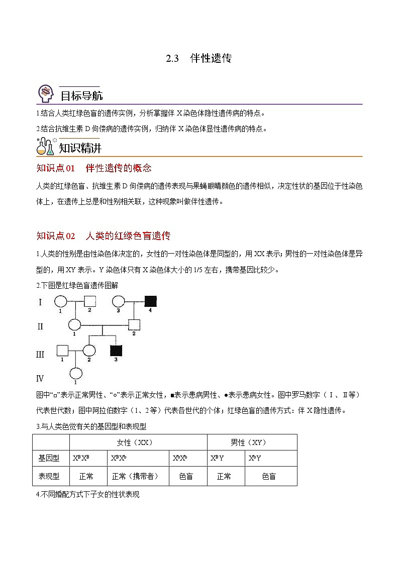 2.3 伴性遗传-高一生物同步精品讲义(人教必修2)01