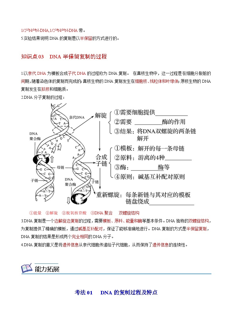 3.3 DNA的复制-高一生物同步精品讲义（人教必修2）02