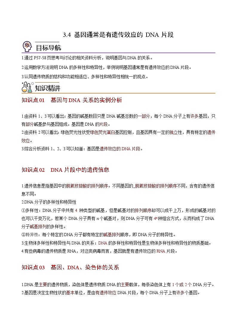 3.4 基因通常是有遗传效应的DNA片段-高一生物同步精品讲义(人教必修2)01