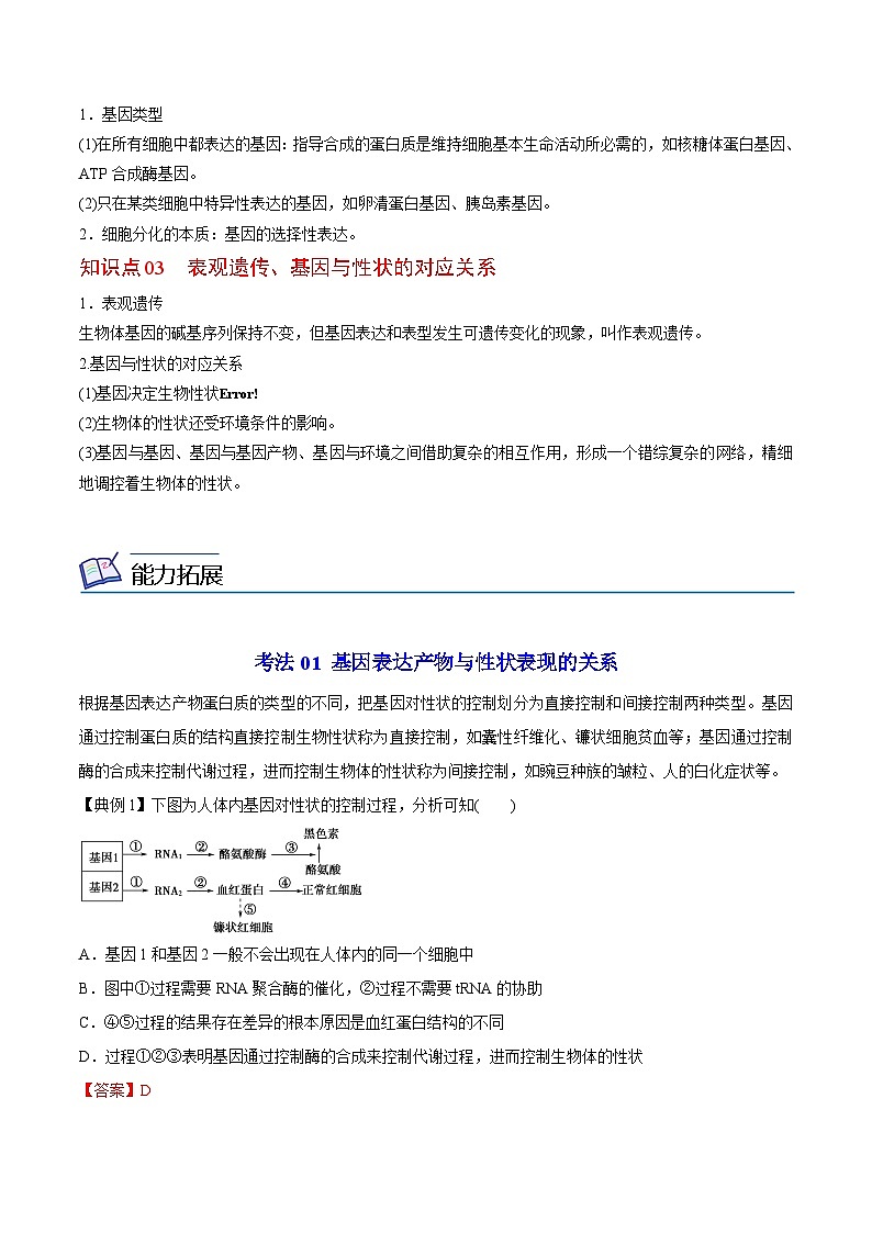 4.2 基因表达与性状的关系(学生版)-高一生物同步精品讲义(人教必修2)第2页