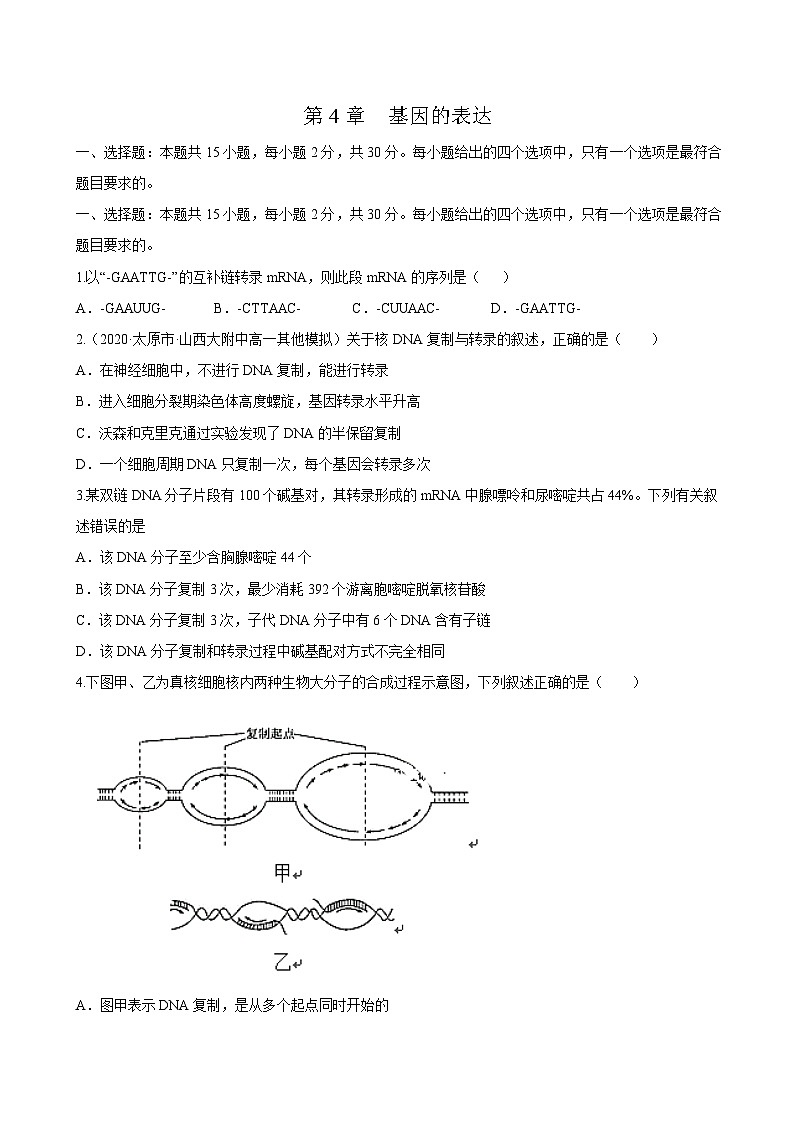 第4章 章末检测-高一生物同步课堂帮帮帮(人教版必修2)01