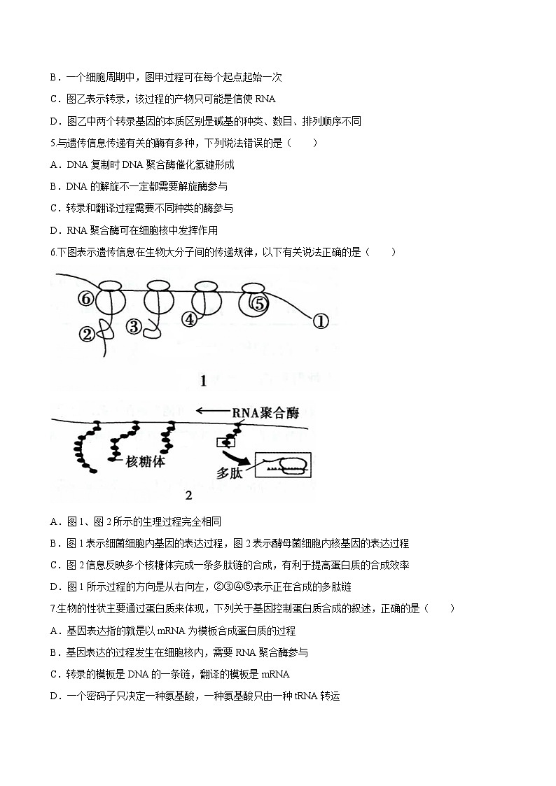 第4章 章末检测-高一生物同步课堂帮帮帮(人教版必修2)02