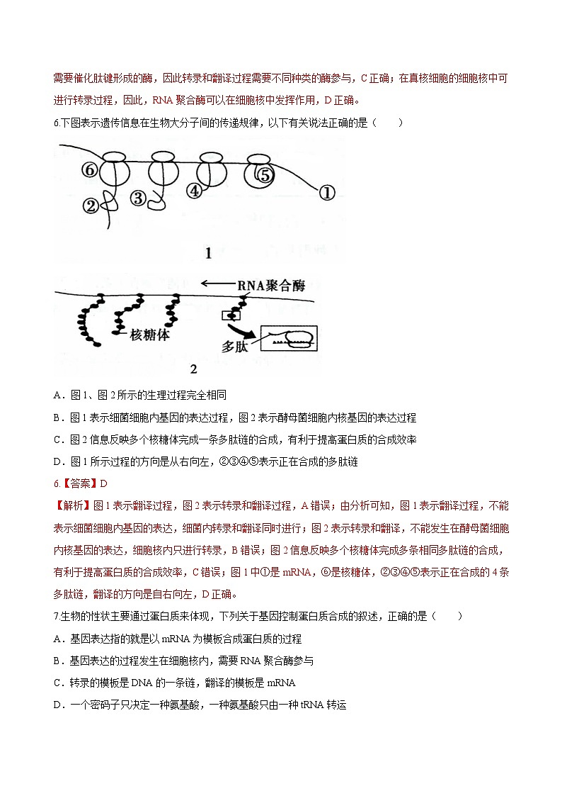 第4章 章末检测-高一生物同步课堂帮帮帮(人教版必修2)03