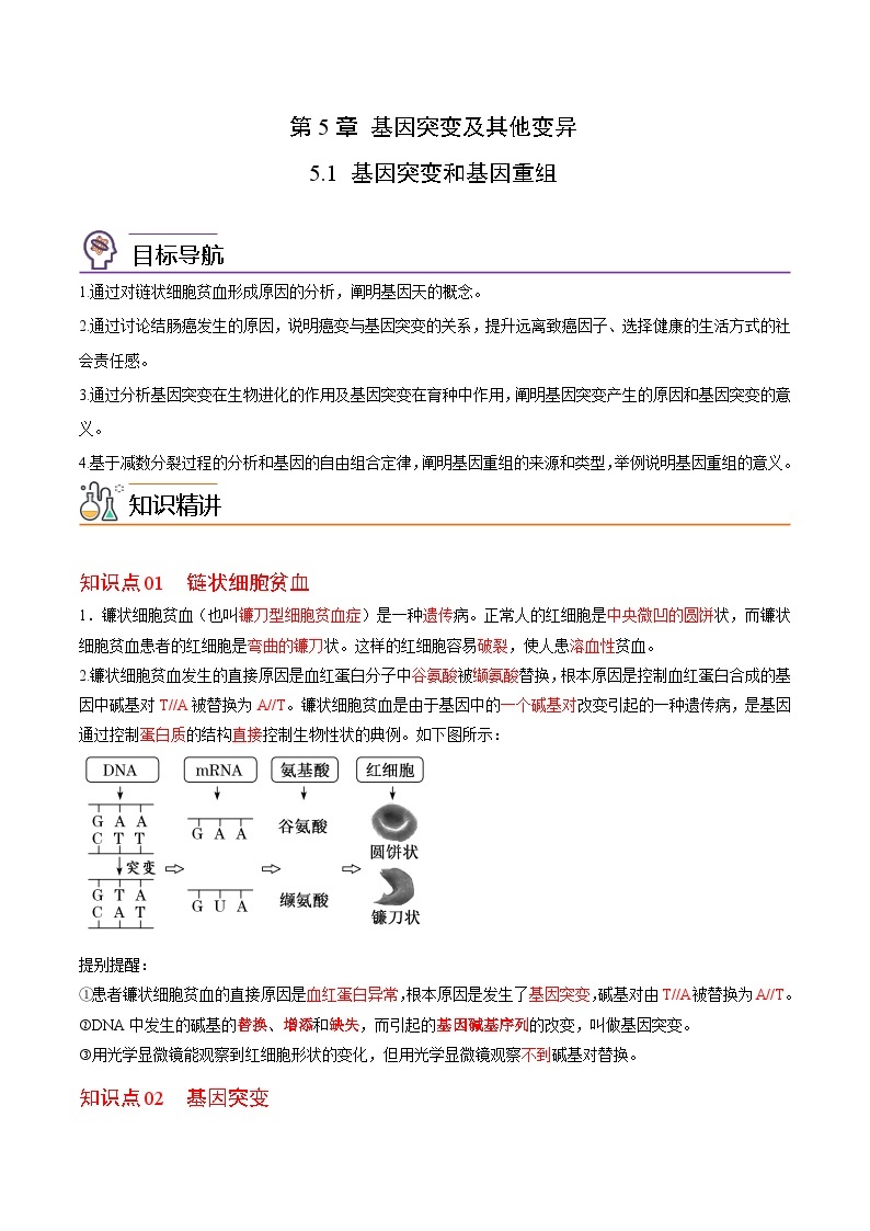 5.1 基因突变和基因重组-高一生物同步精品讲义（人教必修2）01