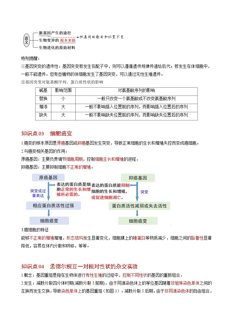 5.1 基因突变和基因重组-高一生物同步精品讲义（人教必修2）03