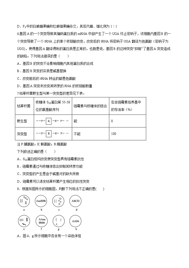 第5章 章末檢測（學(xué)生版）-高一生物同步課堂幫幫幫（人教版必修2）第2頁