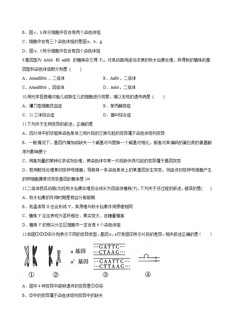 第5章 章末檢測（學(xué)生版）-高一生物同步課堂幫幫幫（人教版必修2）第3頁