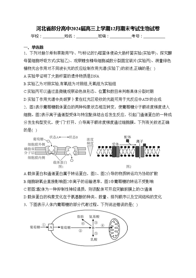 河北省部分高中2024届高三上学期12月期末考试生物试卷(含答案)01