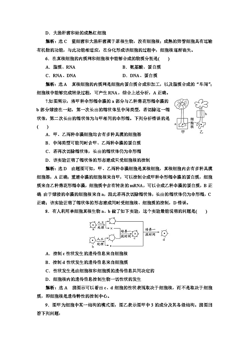 人教版高中生物必修1课时跟踪检测(十二)细胞核的结构和功能含答案第2页