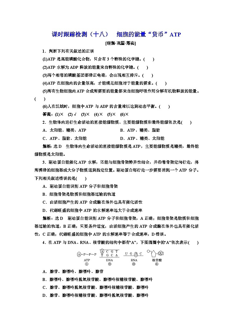 人教版高中生物必修1課時跟蹤檢測（十八）細(xì)胞的能量“貨幣”ATP含答案第1頁