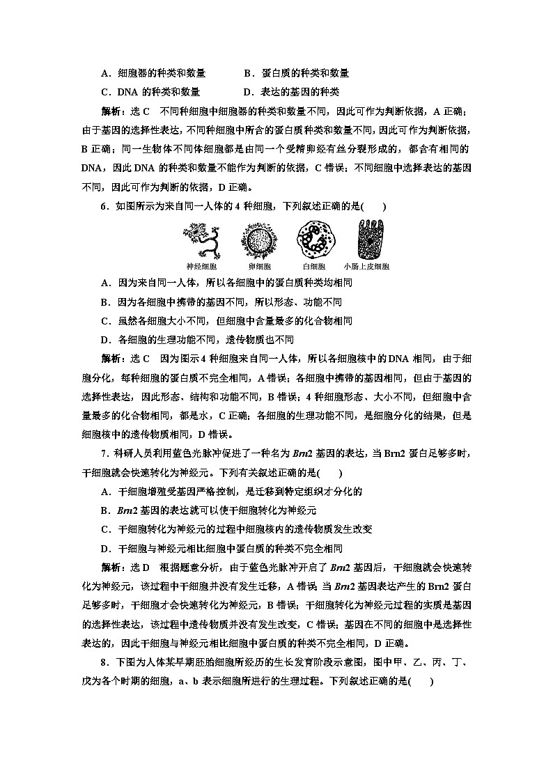 人教版高中生物必修1课时跟踪检测(二十六)细胞的分化含答案02