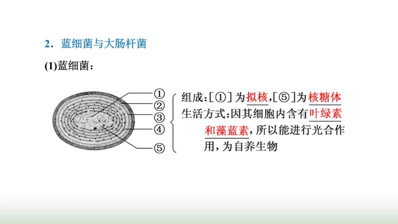 人教版高中生物必修1第1章走近细胞第2节细胞的多样性和统一性课件05