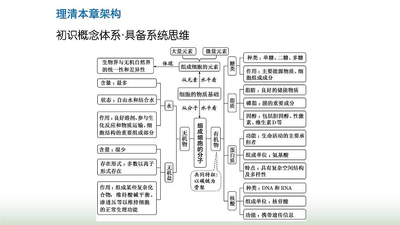 人教版高中生物必修1第2章组成细胞的分子第1节细胞中的元素和化合物课件03