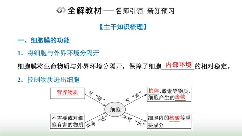 人教版高中生物必修1第3章细胞的基本结构第1节细胞膜的结构和功能课件06