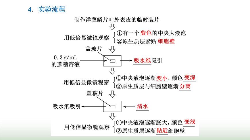 人教版高中生物必修1第4章細(xì)胞的物質(zhì)輸入和輸出第1節(jié)第2課時探究植物細(xì)胞的吸水和失水與被動運(yùn)輸課件第3頁