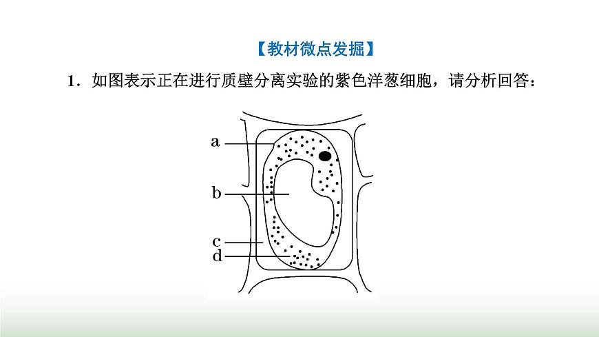 人教版高中生物必修1第4章細(xì)胞的物質(zhì)輸入和輸出第1節(jié)第2課時探究植物細(xì)胞的吸水和失水與被動運(yùn)輸課件第6頁