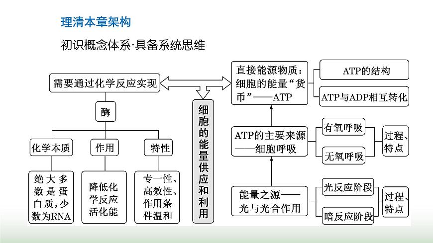人教版高中生物必修1第5章細(xì)胞的能量供應(yīng)和利用第1節(jié)第1課時(shí)酶的作用和本質(zhì)課件第3頁(yè)