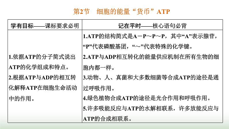 人教版高中生物必修1第5章细胞的能量供应和利用第2节细胞的能量“货币”ATP课件第1页