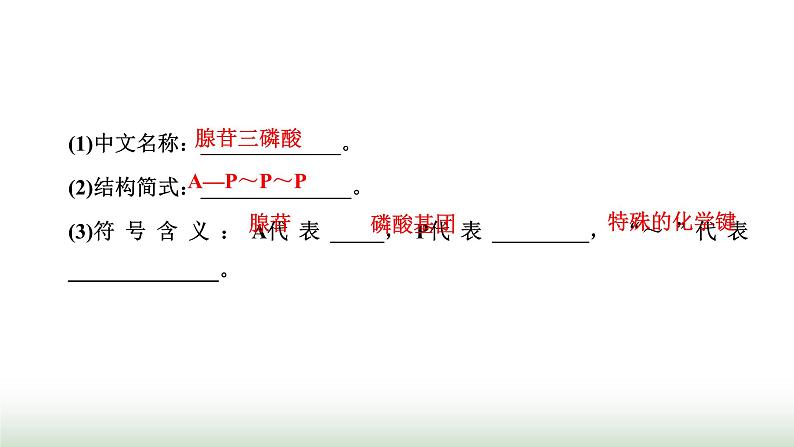 人教版高中生物必修1第5章细胞的能量供应和利用第2节细胞的能量“货币”ATP课件第3页
