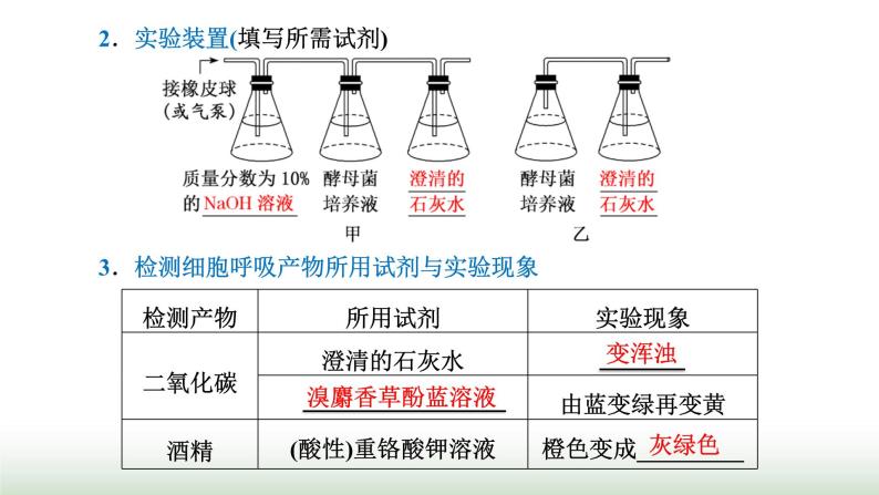 人教版高中生物必修1第5章细胞的能量供应和利用第3节第1课时细胞呼吸的方式与有氧呼吸课件03