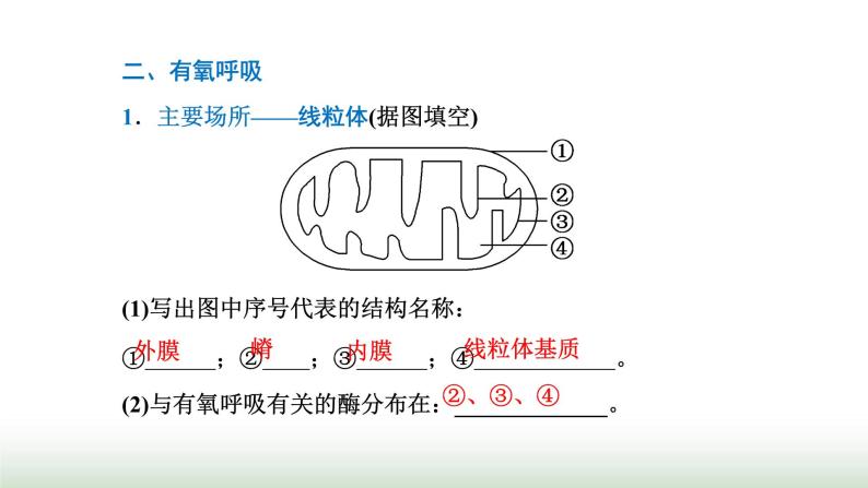 人教版高中生物必修1第5章细胞的能量供应和利用第3节第1课时细胞呼吸的方式与有氧呼吸课件05