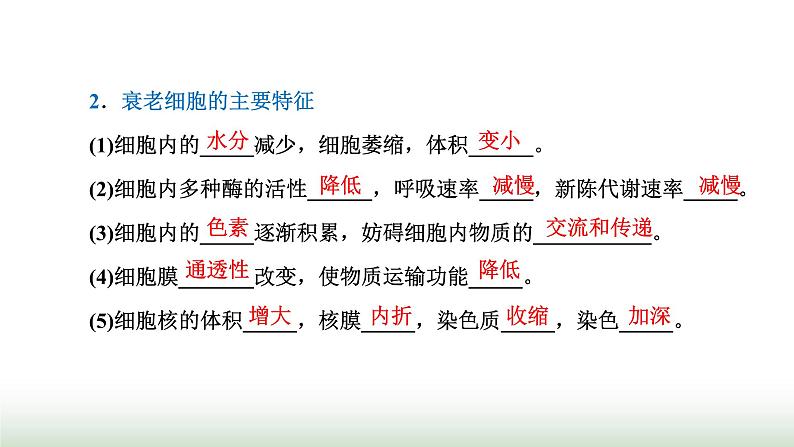 人教版高中生物必修1第6章细胞的生命历程第3节细胞的衰老和死亡课件03