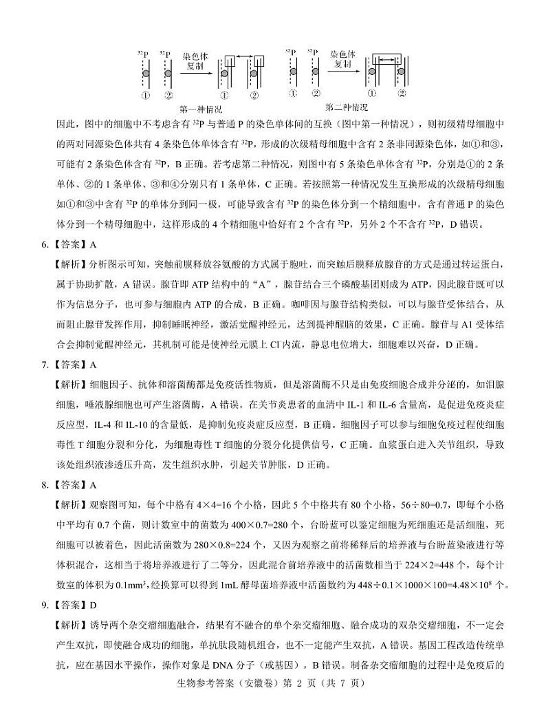 【安徽卷】名校教研联盟2024届高三3月联考生物参考答案 第2页