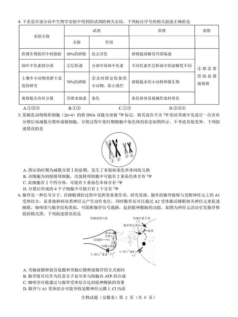 【安徽卷】名校教研联盟2024届高三3月联考生物试题 第2页