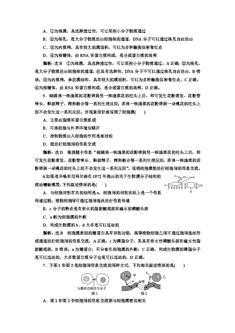人教版高中生物必修1阶段验收测试(二)细胞的基本结构含答案第2页
