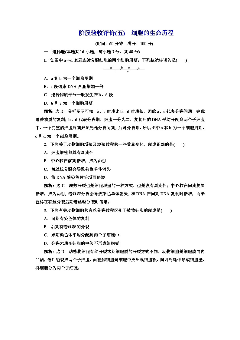 人教版高中生物必修1阶段验收测试(五)细胞的生命历程含答案01
