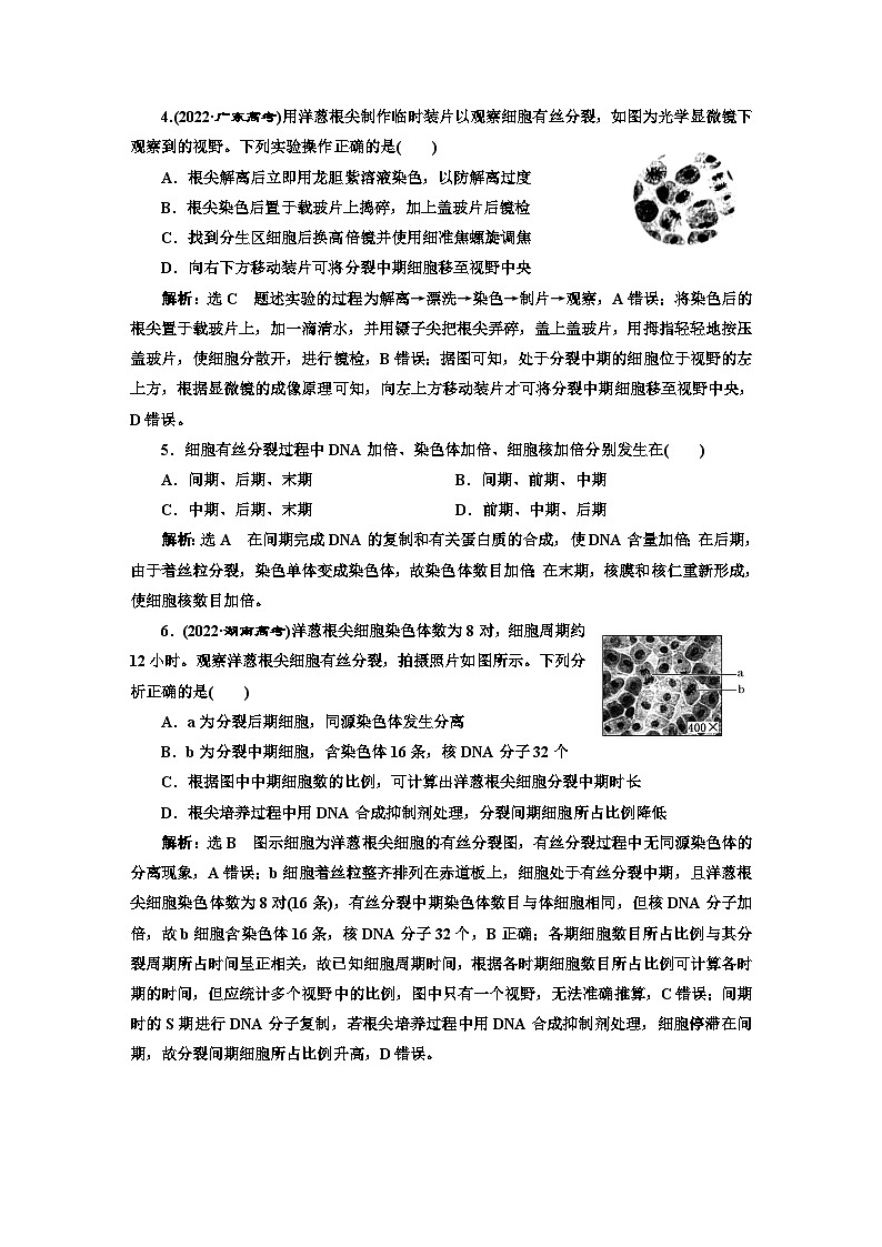 人教版高中生物必修1阶段验收测试(五)细胞的生命历程含答案02