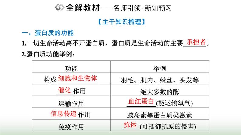 人教版高中生物必修1第2章组成细胞的分子第4节第1课时蛋白质的功能及其结构单位课件02